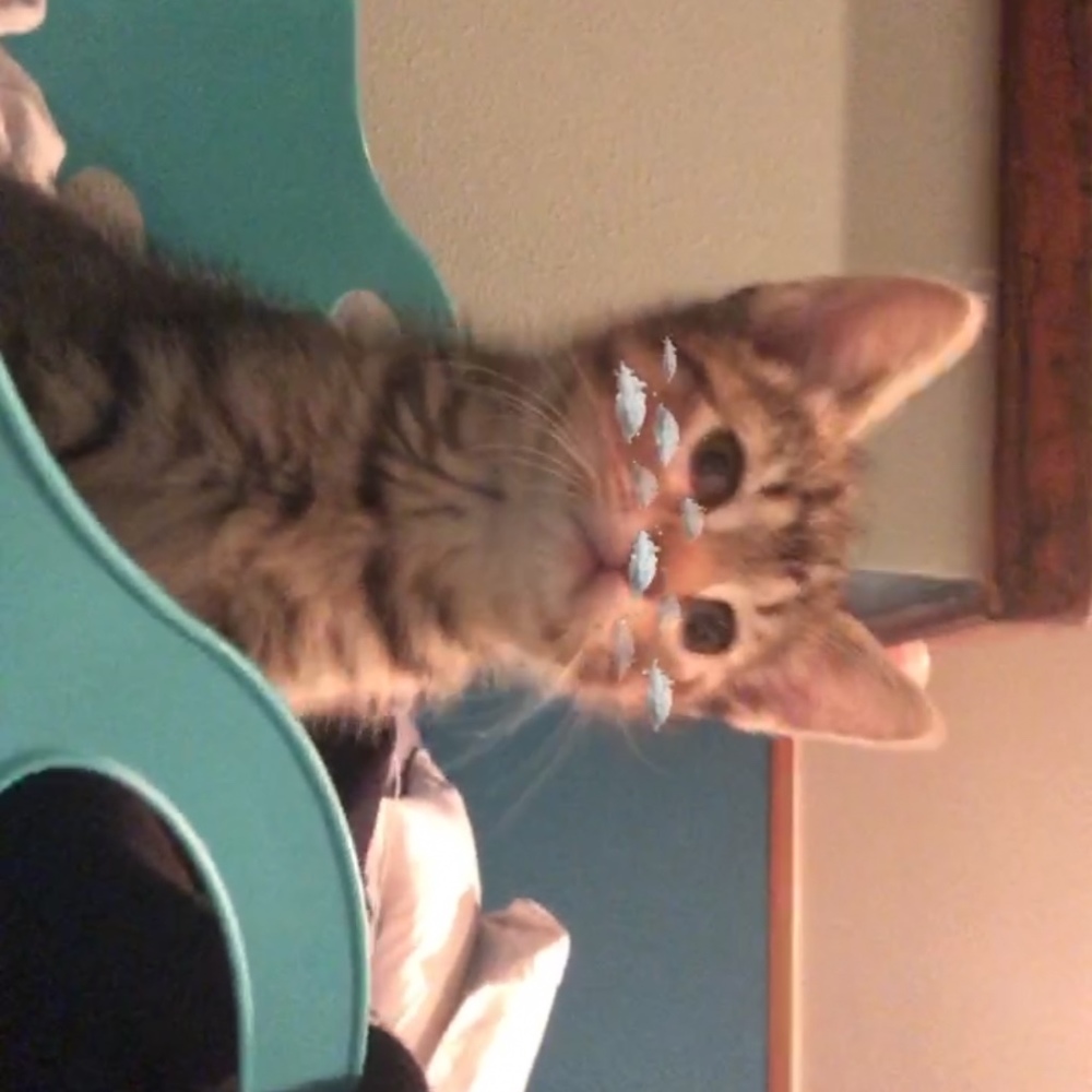 Meet your Posher, Olivia